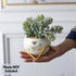 Unique Aunt Gifts  Best Ever Succulent Pots